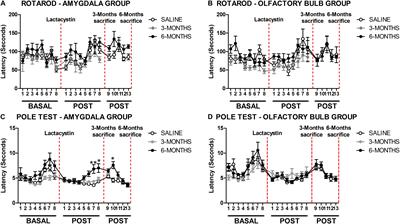 Lack of Parkinsonian Pathology and Neurodegeneration in Mice After Long-Term Injections of a Proteasome Inhibitor in Olfactory Bulb and Amygdala